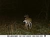 Kansas Archery/Rifle Deer Hunting-sunp0124.jpgsmall.jpg