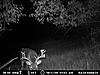 Last call for deer hunters!!!-newtrash.jpg
