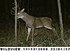 Kansas Archery/Rifle Deer Hunting-sunp0032.jpgcrop.jpg