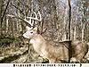 Kansas Archery/Rifle Deer Hunting-sunp0028.jpgsmall.jpg