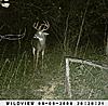 Kansas Archery/Rifle Deer Hunting-sunp0091.jpgsmall.jpg
