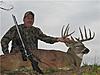 Colorado eastern plains mule deer hunts-bigsandybuck10.jpg