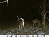 Kansas Archery/Rifle Deer Hunting-sunp0092.jpgsmall.jpg