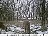 Kansas Archery/Rifle Deer Hunting-sunp0075.jpgsmall.jpg