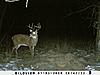 Kansas Archery/Rifle Deer Hunting-sunp0007.jpgsmall.jpg