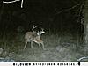 Kansas Archery/Rifle Deer Hunting-sunp0368.jpgsmall.jpg