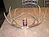 Kansas Archery/Rifle Deer Hunting-p1011215.jpgsmall.jpg