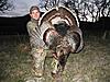 Rio hunts in Oklahoma and Kansas-brandons-turkey-09.jpg