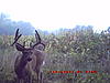Ever want to hunt ILL, check this out.-dgc_0077.jpg