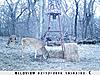 Kansas Archery/Rifle Deer Hunting-sunp0476.jpgsm.jpgsm.jpg