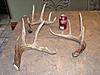 Kansas Archery/Rifle Deer Hunting-p1011295.jpgsmall.jpg