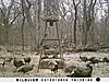 Kansas 2010 Turkey Hunts-sunp0030.jpgsm.jpg