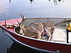 Lake of the Woods, Ont deer/walleye-deception-bay-2005-045.jpg