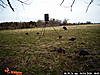 Kansas Turkey Hunt-pict0049.jpg