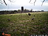 Kansas Turkey Hunt-pict0094.jpg