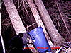 Affordable Trophy New Brunswick Black Bear Hunt!-picture-440.jpg