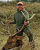 Colorado elk hunts still available-eaglesnestelk1.jpg