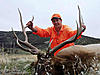 Colorado elk hunts still available-sheltonranchelk3.jpg