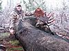 British Columbia Bow Only Moose Hunt-dscn0765-800x600-.jpg