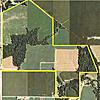 3 Illinois leases, from 300-550 acres-320-acres.jpg