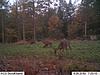 137 acres in Steuben County NY..-does.jpg