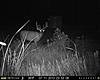 Nebraska Hunting Club-7-11-13-13-.jpg