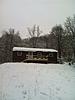 102 acres with cabin near Amesville in Southeast Ohio-39.jpg