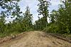 hunting land for sale-tm-p1-descript3.jpg