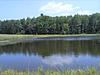 Hunting Land for Sale in Update State NY-fish-pond.jpg