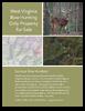 West Virginia - Bow Hunting Only Land for Sale-wv150-salesdoc-reduced.pdf