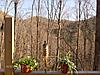 Newer home on 14 acres with excellant hunting-023.jpg