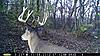 How was your WI deer hunt?-pict0025.jpg