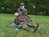 Shawnee NF Illinois Turkey-dscn7796.jpg