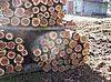 Cedar Fence Posts &amp; Logs-5l15id5g73gb3mf3nec27fec9860821b412d4.jpg