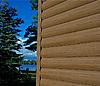 Log Cabin Home Alternative-forest-brown-pic-up-close.jpg