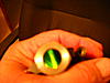 Sold-005.jpg