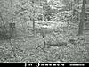 ma. buck-0.jpg