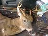 Maryland Muzzle loader season-img_0871.jpg