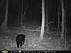 Any trail cams up and running?-rear-cam-015.jpg