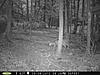 Any trail cams up and running?-rear-cam-020.jpg