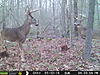 Best state in the north east for hunting?-01122277.jpg