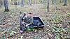 Bear Hunting In New Jersey-post-55-0-23577200-1476150777.jpg