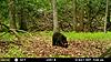 New Jersey Bears-post-55-0-89168300-1495308074.jpeg