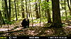 Trail Camera Check.......Big Bear !!!-mfdc8923.jpg