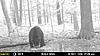 Big Bear !!-mfdc9233.jpg