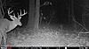 Late Season New Jersey Buck-13086692_thumb.jpg