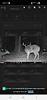 Another Decent NJ Buck-298135368_screenshot_20210131-023525_ridgetecmobile.thumb.jpg.bb1ac392389b36a9e4e2fd18405e3254.jpg