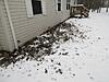 Winter Browsing-img_8874.jpg