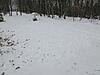 Winter Browsing-img_8875.jpg
