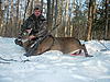 new york deer, end of year post-004.jpg